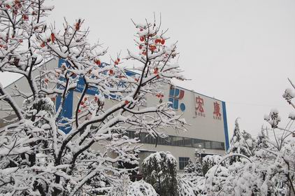 山东公海jcjc机床：雪景一角.jpg